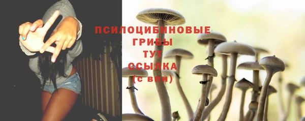 гидропоника Козельск