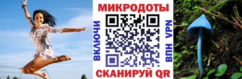 Купить закладки  Лаишево  Галлюциногенные грибы Psilocybine cubensis 